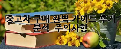 중고차 구매 완벽 가이드: 후기 분석 & 주의사항 🚗✨