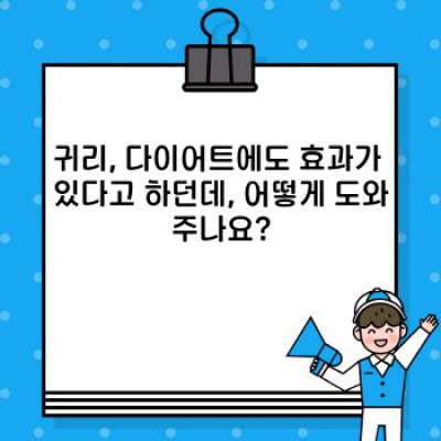 귀리효능 완벽 가이드: 건강한 삶을 위한 귀리의 모든 것!