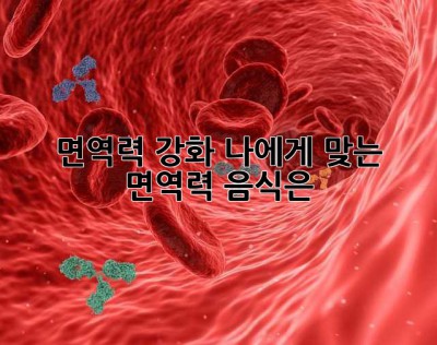 면역력 강화, 나에게 맞는 면역력 음식은?