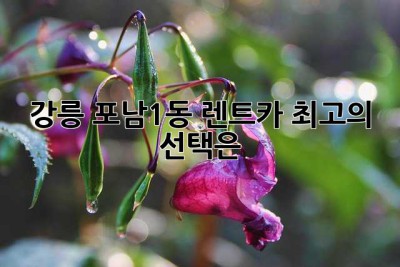 강릉 포남1동 렌트카: 최고의 선택은?