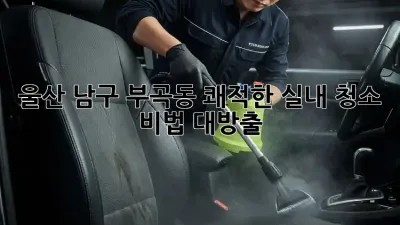 울산 남구 부곡동🏠 쾌적한 실내 청소 비법 대방출! ✨