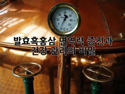 발효흑홍삼: 면역력 증진과 건강 관리의 비밀