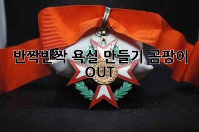 ✨ 반짝반짝 욕실 만들기! 곰팡이 OUT! ✨