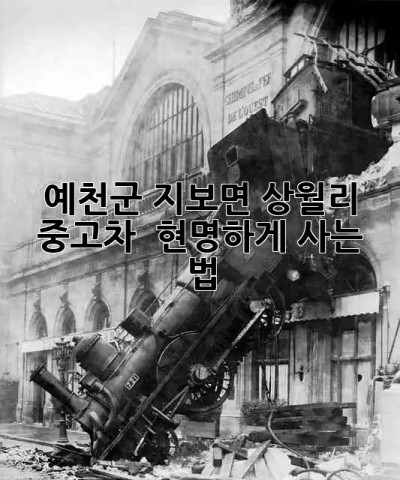 예천군 지보면 상월리 중고차 🚗 현명하게 사는 법