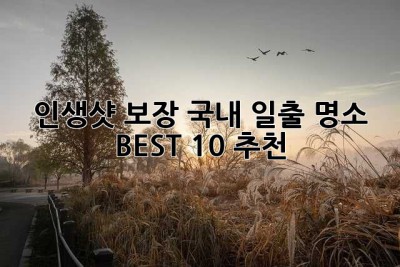 인생샷 보장! 국내 일출 명소 BEST 10 추천 ✨
