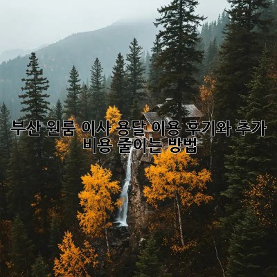 부산 원룸 이사, 용달 이용 후기와 추가 비용 줄이는 방법!